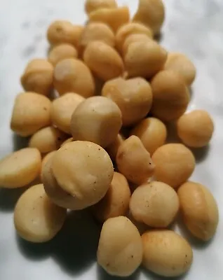 £11.99 • Buy Roasted Macadamia Nuts Salted 500g Cholesterol FREE Vegan 