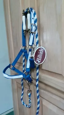 New Nylon Halter Foal Horse Mini Pony Blue With White Overlay & Matching Lead • $22