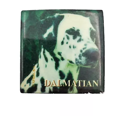 Vintage DALMATION Fridge Magnet Dog Photo 2  X 2  • $6.88
