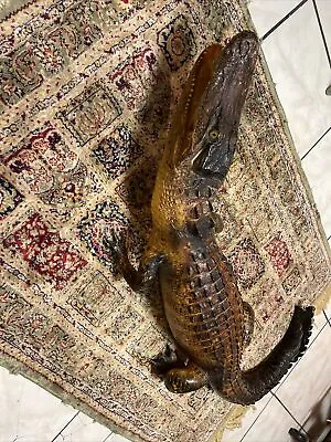 Alligator Taxidermy Vintage Rare Find Flordia Alligator 45” Long  Real • $600