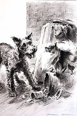 Morgan Dennis 1946 MIXED BREED TERRIER And POMERANIAN Vintage Matted Dog Print • $25