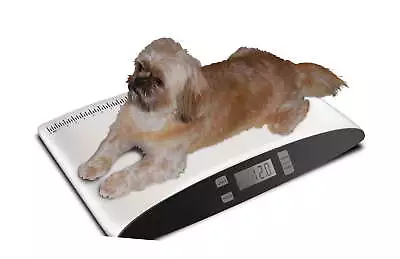 $48.54 • Buy Small Pet Dog Digital Scale Veterinarians Breeders Animal Weight Monitor Health