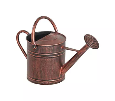 Panacea Copper Metal Traditional 2-Handles Round Showering Head Watering Can 2 G • $36.78