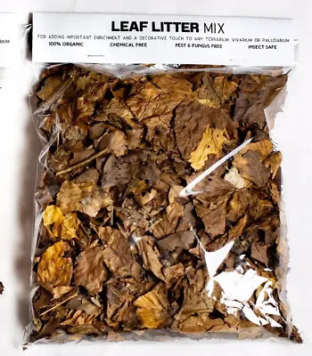 100g Rainforest Leaf Litter Mix For African Land Snails. Invert/Reptile Safe Mix • £6.99