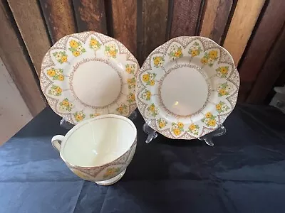 Salisbury Pottery-1644 Kingston Pattern -Side Plates And Cup Set -1950c • $26.80