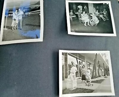 $40 • Buy 1930's Photo Album (80) Photos - Vacation - Portraits - Oregon - Tropical