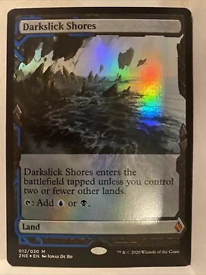 Darkslick Shores - FOIL - MTG Zendikar Rising Expedition X1 NM • $25.94