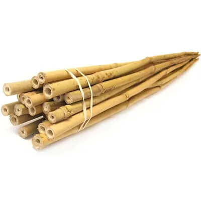 2-6 FT Strong Thick Bamboo Canes Garden Stakes Wooden Plant Support Trellis Cane • £7.79