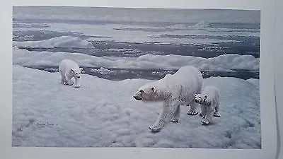 POLAR BEARS Charles Frace Signed And Numbered Print • $59.95