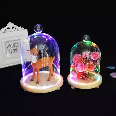 £11.95 • Buy LED Light Up Wooden Base Glass Dome Cloche Bell Jar Display Stand Decorative UK