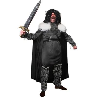 Mens Book Character Fancy Dress Costume Medieval Fantasy Fancy Dress Outfit • £23.99