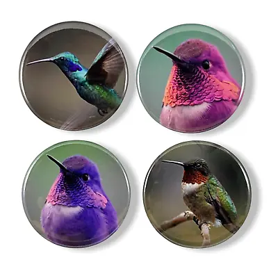 2.25 Inch Magnets Set Of 4 Hummingbirds For Fridge Kitchen Whiteboard • $10.95