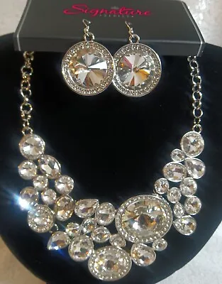 Paparazzi Jewelry The Danielle Zi Necklace Earrings Silver Set Collection 2021 • $35