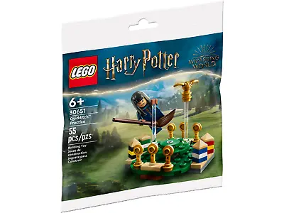 LEGO 30651 - Harry Potter Saga QUIDDITCH PRACTICE Polybag GWP Cho Chang & Snitch • $4.95