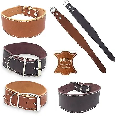 Real Soft Leather Hand Made Dog Pet Collar Whippet Greyhound Saluki Lurcher • £9.99