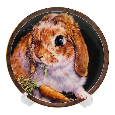 Bunny Tales CARROT TOP Collector Plate By Vivi Crandall Bradford Exchange 1997 • $19.60