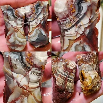 AAA ++ Red Crazy Lace Agate Laguna Lace Banded Agate Mexico Rough 108g Lapidary • $52