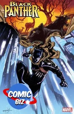 Black Panther #9  (2024) 1st Printing *schiti Variant Cvr* Marvel Comics • £4.15