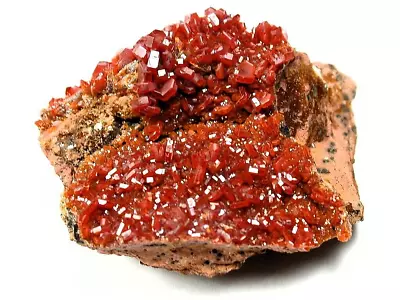 Minerals : Vanadinite Crystal Group On Brown Matrix Coud'a Workings In Morocco • $2.25