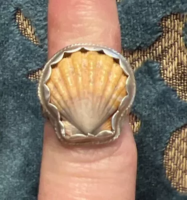 Hawaiian Sunrise Shell Ring Pale Colors Size 5 • $65