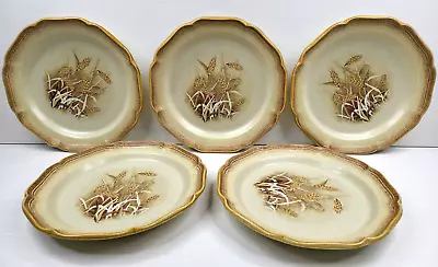 5 Mikasa Granola Dinner Plate Set Vintage E8001 Whole Wheat Brown Dish Japan Lot • $69.87