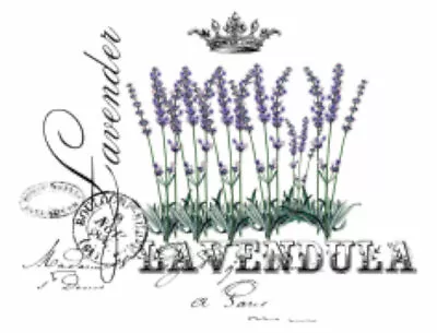 Vintage French Advertising Lavender Furniture Transfers Waterslide Decals FL556 • $12.99