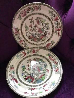 £6 • Buy Vintage Johnson Brothers Indian Tree Dinner Plate 20cm X 2 VGC