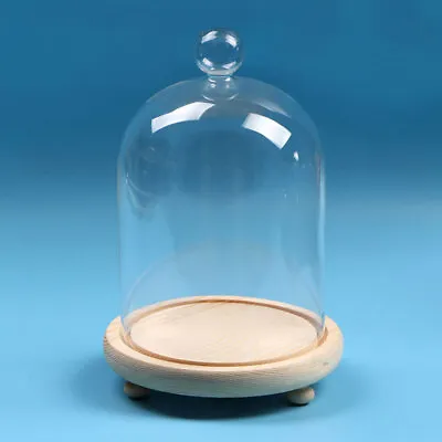 £10.95 • Buy U Shaped Large Glass Dome Bell Jar Cloche Flower Gift Display Stand Wooden Base