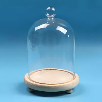 £10.95 • Buy U Shaped Large Glass Dome Bell Jar Cloche Flower Gift Display Stand Wooden Base