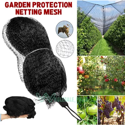 Large Anti Bird Netting Pond Net Protection Tree Crops Plants Fruits Garden Mesh • $12.19