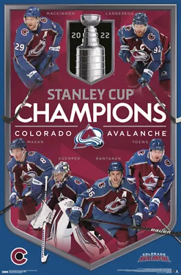 Colorado Avalanche 2022 STANLEY CUP CHAMPIONS Commemorative 22x34 Wall POSTER • $13.49