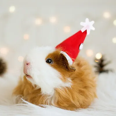 Guinea Pig Christmas Hat Adjustable Christmas Hat For Rabbit Hamster Small Pet • £6.49