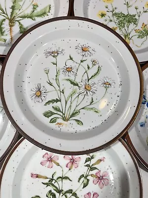 Vintage Buttercup Japan Speckled Dinner Ware Floral 8” Salad Plates • $59