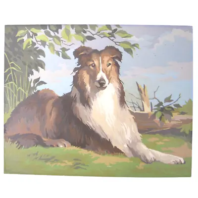 Vintage PBN Paint By Number Large 16  X 20  Collie Dog Painting • $35