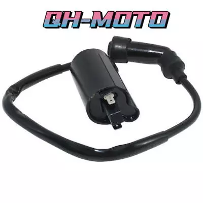 Ignition Coil For Yamaha XV250 Virago Renaissa XVS250 SRV250  Drag Star XVS125 • $13.78