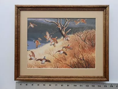 Maynard Reece DARK SKY-BOBWHITE QUAIL 11x14 Framed 3.5 517 • $35