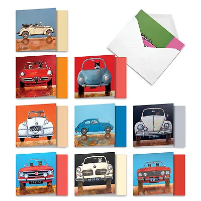10 Assorted All Occasion Blank Note Cards Pack - Car Cats • $11.98
