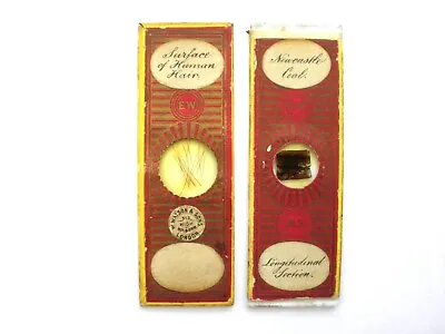 2 Antique Microscope  Slides.  Newcastle Coal And Human Hair By Edmund Wheeler. • $18.94