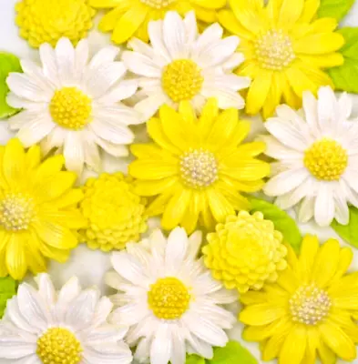 LEMON DAISY BOUQUET Sugar Flowers Edible Cake Decorations • £8.95