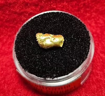 California Natural Gold Nugget 1.6 Grams Total Weight In A Gem Jar W/lid • $120