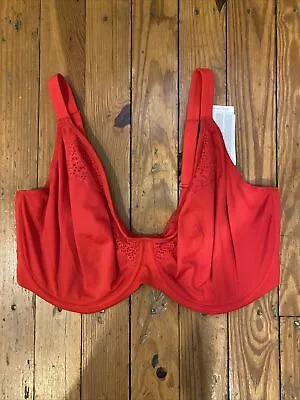 BNWT Elomi Swim Indie Bikini Top Red ES7536 40F UK • $60