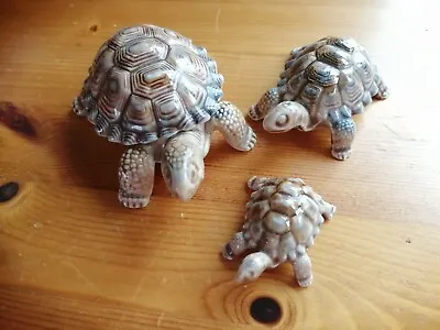 £13 • Buy Wade Porcelain Tortoise Family 