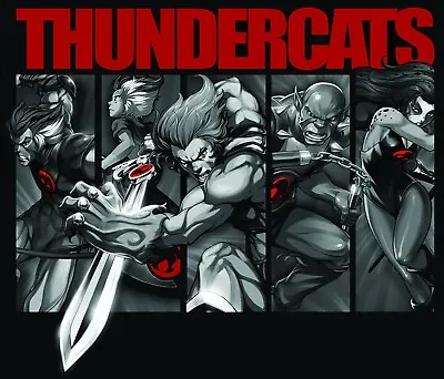 Thundercats Iron On Transfer For T-Shirt & Other Light Color Fabric #3 • $5