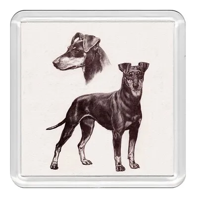 Manchester Terrier Dog Acrylic Coaster Novelty Drink Cup Mat Great Gift • £3.49