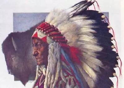 Michael Gnatek Sitting Bull - Native American • $97.99
