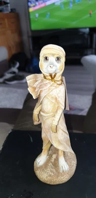 £4.50 • Buy Meerkats Of The World