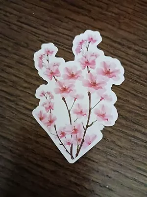 Cherry BLOSSOM Sticker • $0.50