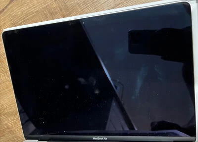 $260 • Buy OEM LCD Screen Display Assembly Silver MacBook Air 13  M1 A2337 2020