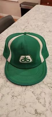 New Vintage Pioneer Feed Seed Corn Baseball Trucker Cap Hat Snapback Green White • $14.99