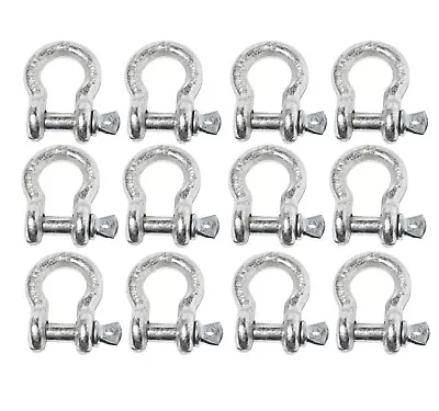 12x 3/8  Bow Shackle D-Ring W Clevis Screw Pin Anchor WLL 1 TON 2200lbs Capacity • $38.10